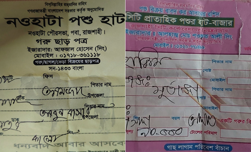রাজশাহী অঞ্চেলের পশুহাটে হাসিলে অতিরিক্ত আদায় : রশিদে লেখা হচ্ছে না টাকার অংক!