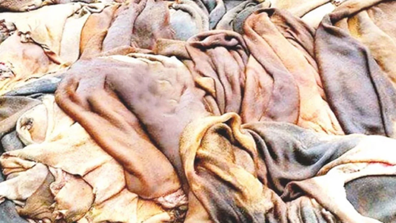 দেশে চামড়া শিল্পে সিন্ডিকেটের থাবা